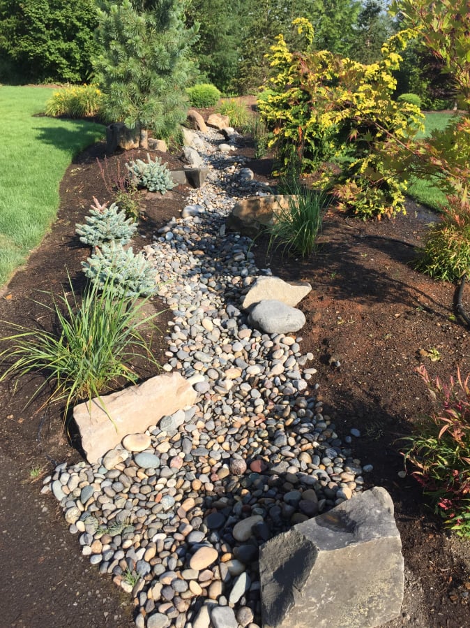A lawn replaced with a dry creek bed.