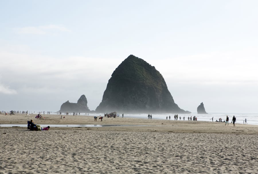 Geologists predict Haystack Rock will erode away in the next 2,000 to 3,000 years.