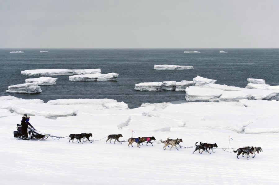 A musher passes icebergs in open water March 13 on Norton Sound in the Bering Sea as she approaches Nome, Alaska, during the Iditarod trail sled dog race. The Bering Sea last winter saw record-low sea ice.