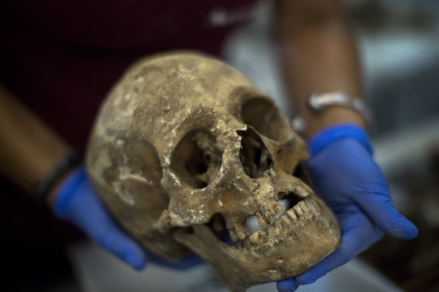 In this Tuesday, Aug. 28, 2018 photo, a victim’s skull is examined during the classification process by anthropologists following the exhumation of a mass grave found in 2018 at the cemetery of Paterna, near Valencia, Spain. DNA tests will be conducted in the hope of confirming the identities of those who disappeared eight decades ago, believed to have been executed by the forces of Gen.