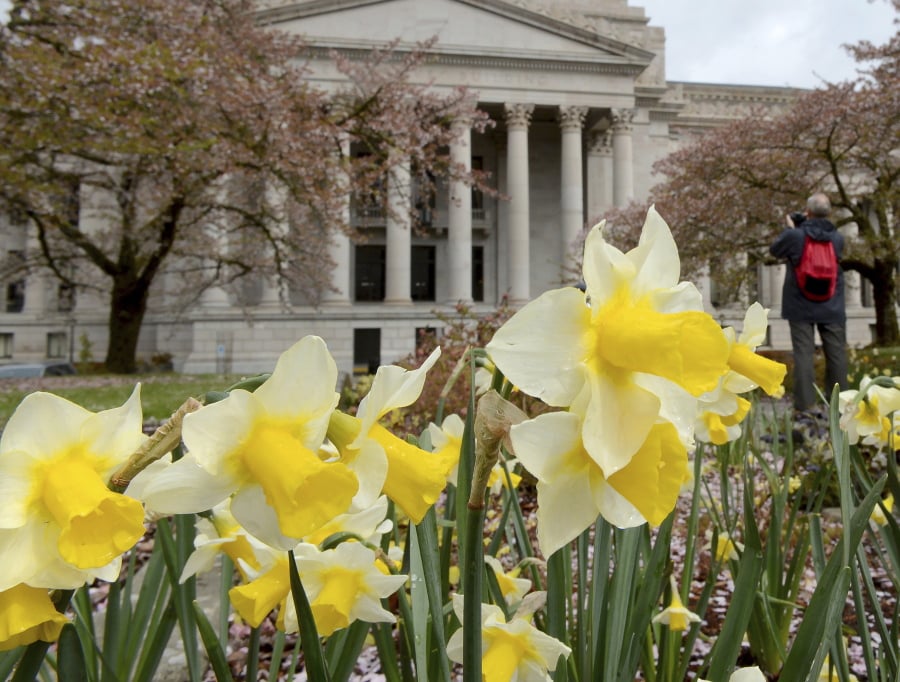 The colors of the Capitol campus in Olympia emerged in and around the Legislative building on April 7.