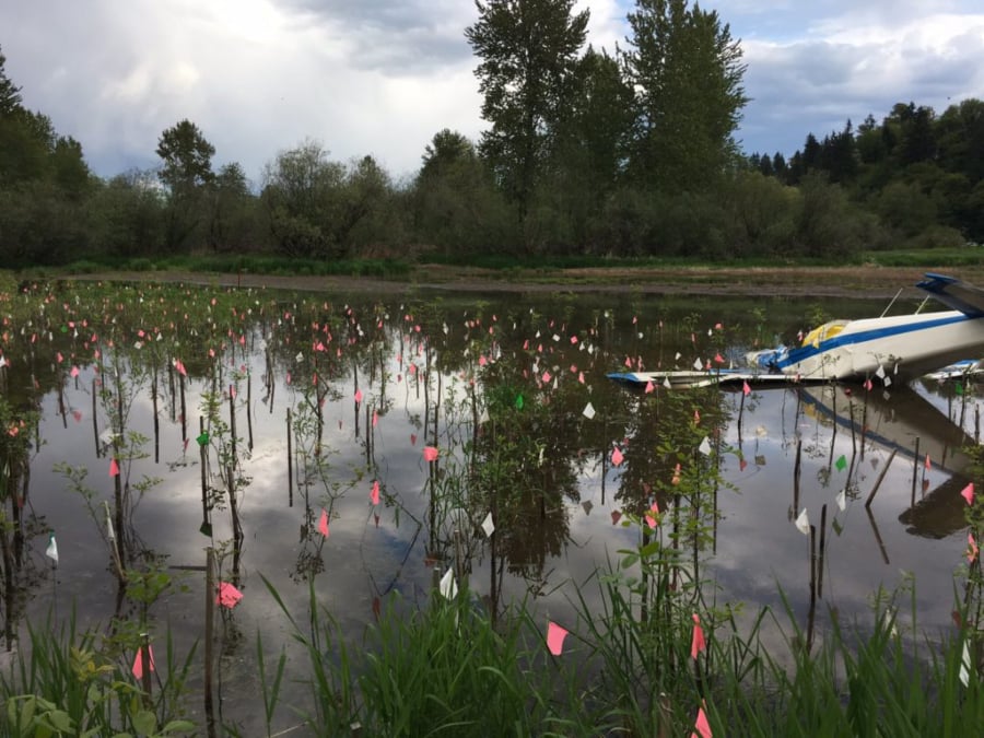 Courtesy of Clark County Sheriffís Office The planeís wreckage, found April 29, near the East Fork Lewis River in north Clark County. Camas resident Milo Kays, 73, and flight instructor Dennis Kozacek, 70, were killed in the crash.