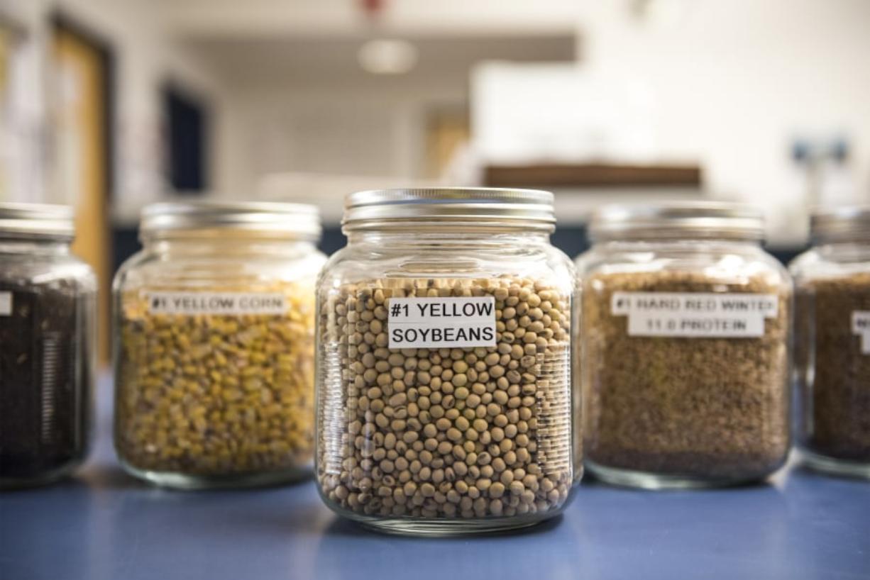 A jar of yellow soybeans is seen here on display at United Grain at the Port of Vancouver in November.