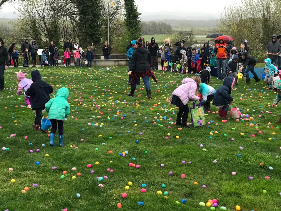Ridgefield: Kids participating in an Easter egg hunt at Overlook Park in Ridgefield, which was hosted by iQ Credit Union.