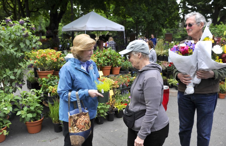 Pam Coffer, from left, Dorothy Parkin and John Parkin examine their purchases from N & M Herb Nursery at the Vancouver Farmers Market on Sunday. The plant booth is on a corner of Market Square, an open intersection at Eighth and Esther streets where kids can play.