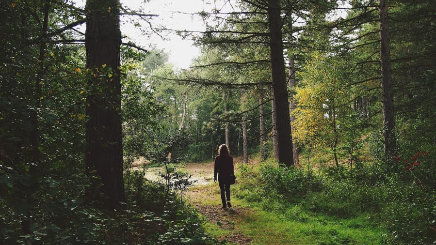 “Forest Bathing” is a healing therapy that aims to ground people in nature using each of their senses.