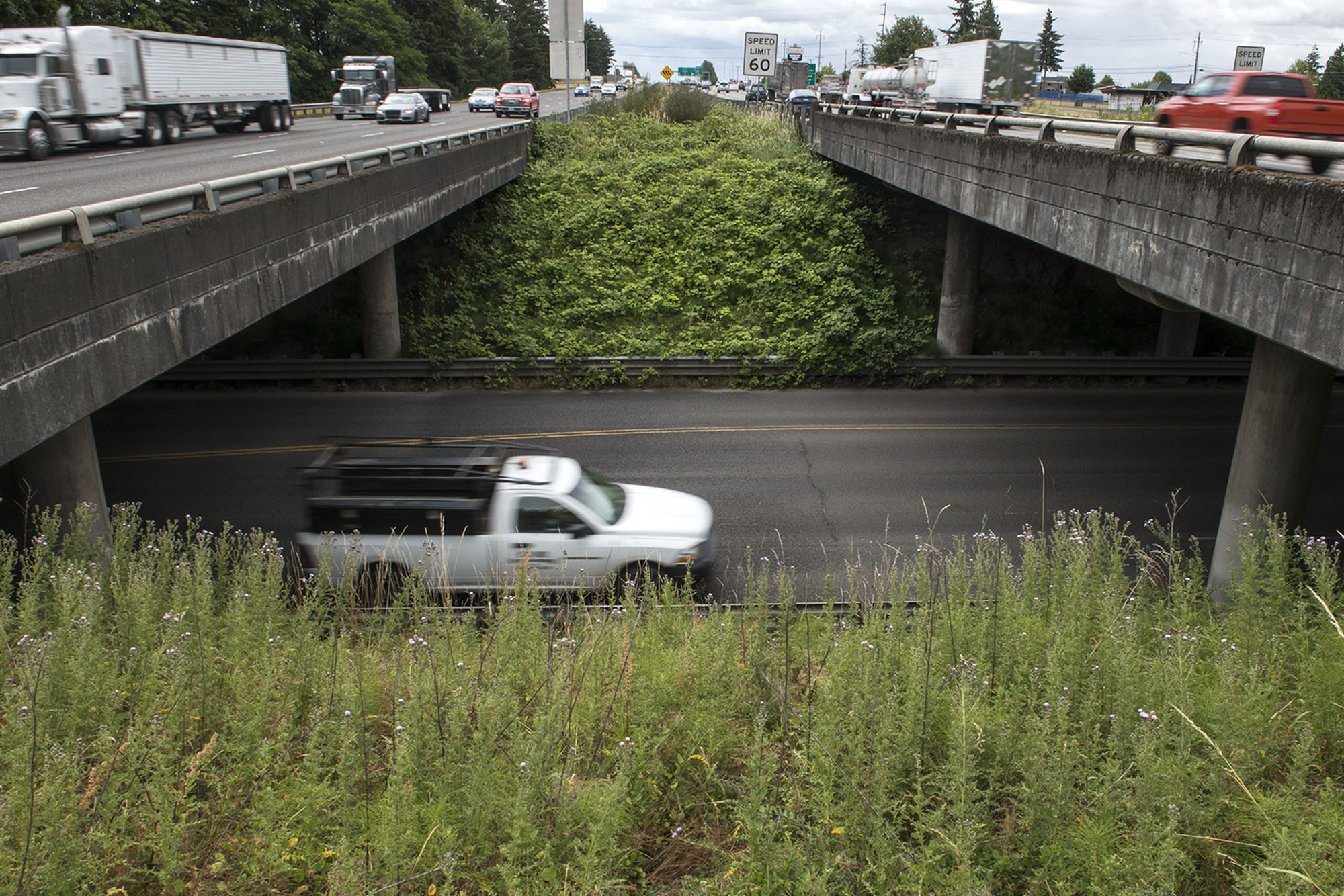 Traffic drives past the 179th Street and I-5 interchange.
