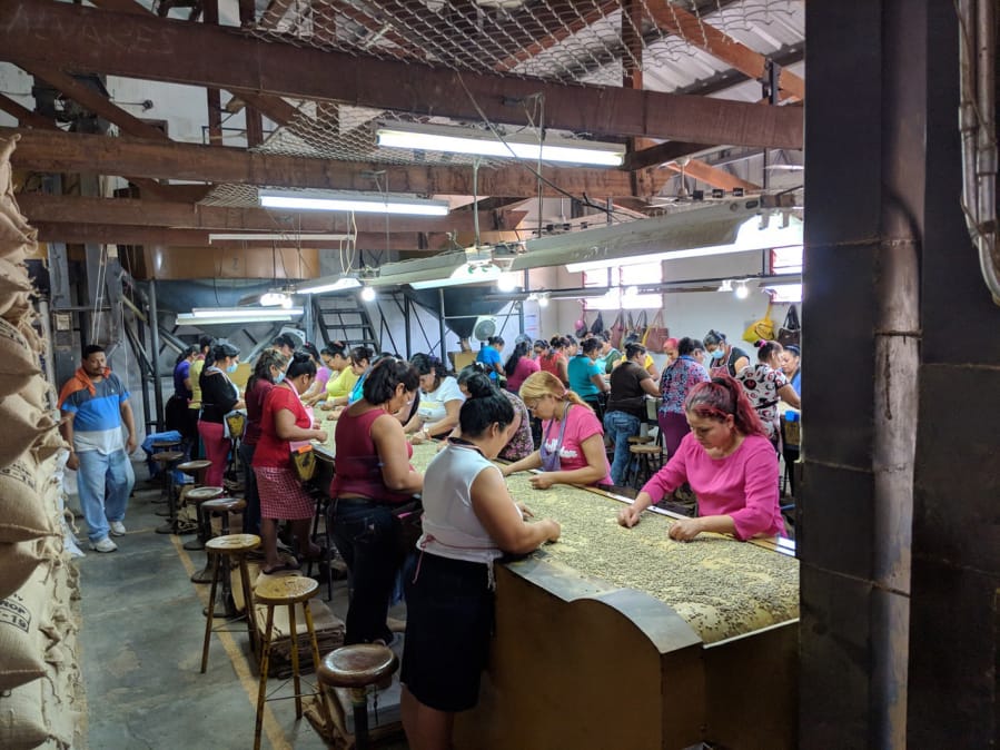 Women sort coffee beans at a farm in Central America.