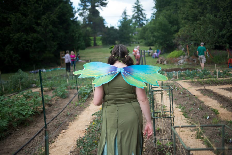 Ashley Blouse, who performs as the Traveling Bubble Fairy, walks through a garden at Wattle Tree Farms in Vancouver during a summer celebration on Sunday.