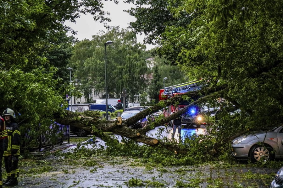 Fallen trees lie on a road after a heavy thunderstorm in Henningsdoirf, near Berlin, Germany, June 12, 2019. Authorities say that about 20 people have been injured in eastern Germany by gusty winds and thunderstorms.
