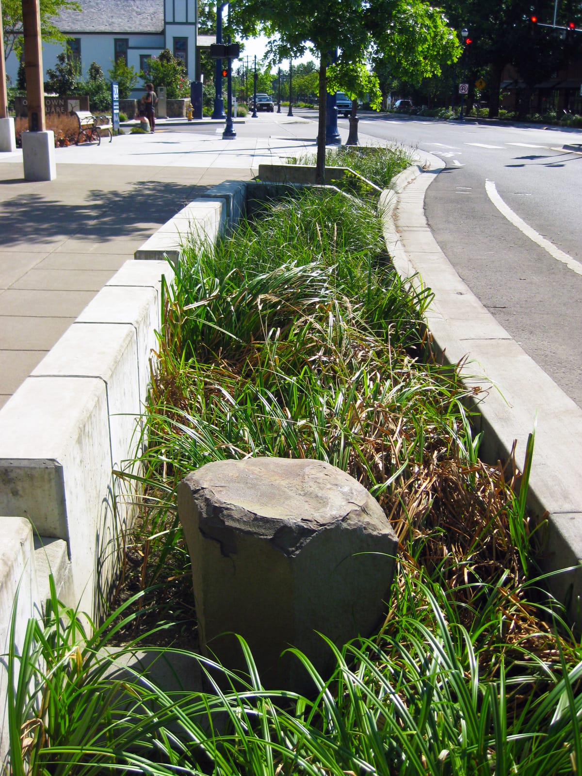 This stormwater facility has been well cared for and is inviting to walk past.