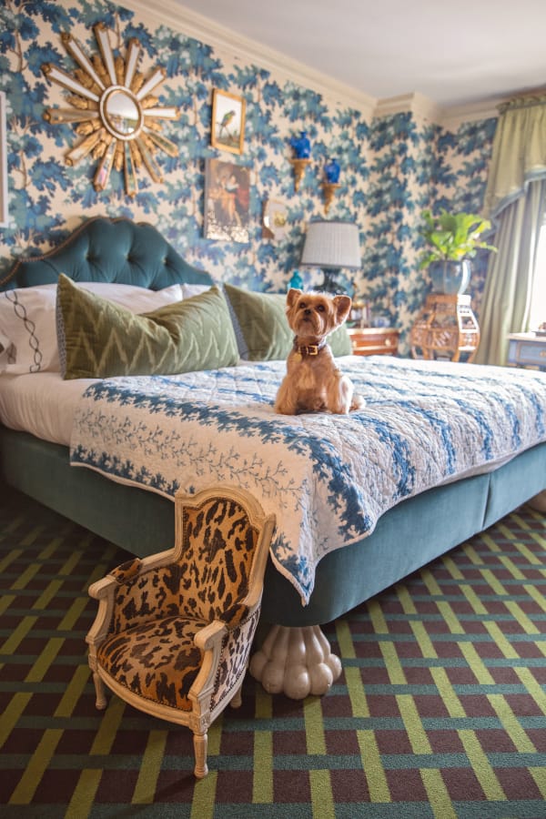 Alex Papachristidis’s dog Teddy uses an antique miniature chair to help get on the bed — from Susanna Salk’s book “At Home With Dogs and Their Designers.” Stacey Bewkes