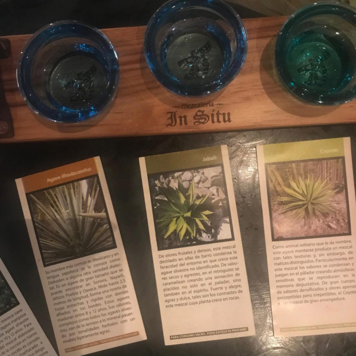 Mezcal tasting at In Situ in Oaxaca city. Mezcal and tequila are both made from agave, but are produced in different regions of Mexico using different methods.