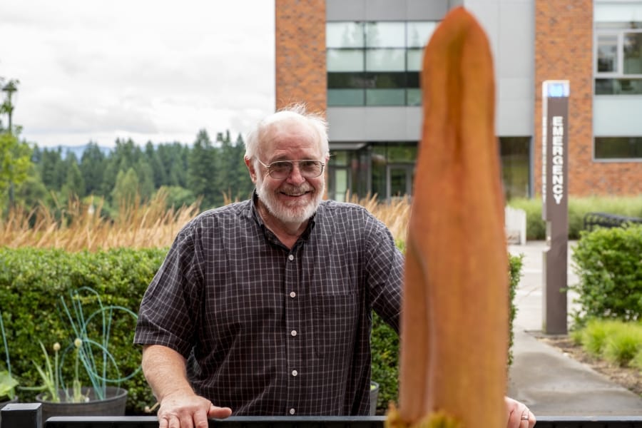 Steven R. Sylvester, a Washington State University Vancouver professor of molecular bioscience, checks out the progress of his corpse flower known as Titan VanCoug on Wednesday. The flower was gifted to Sylvester as a seed by the University of Wisconsin Madison in 2002, and he’s been raising it since.