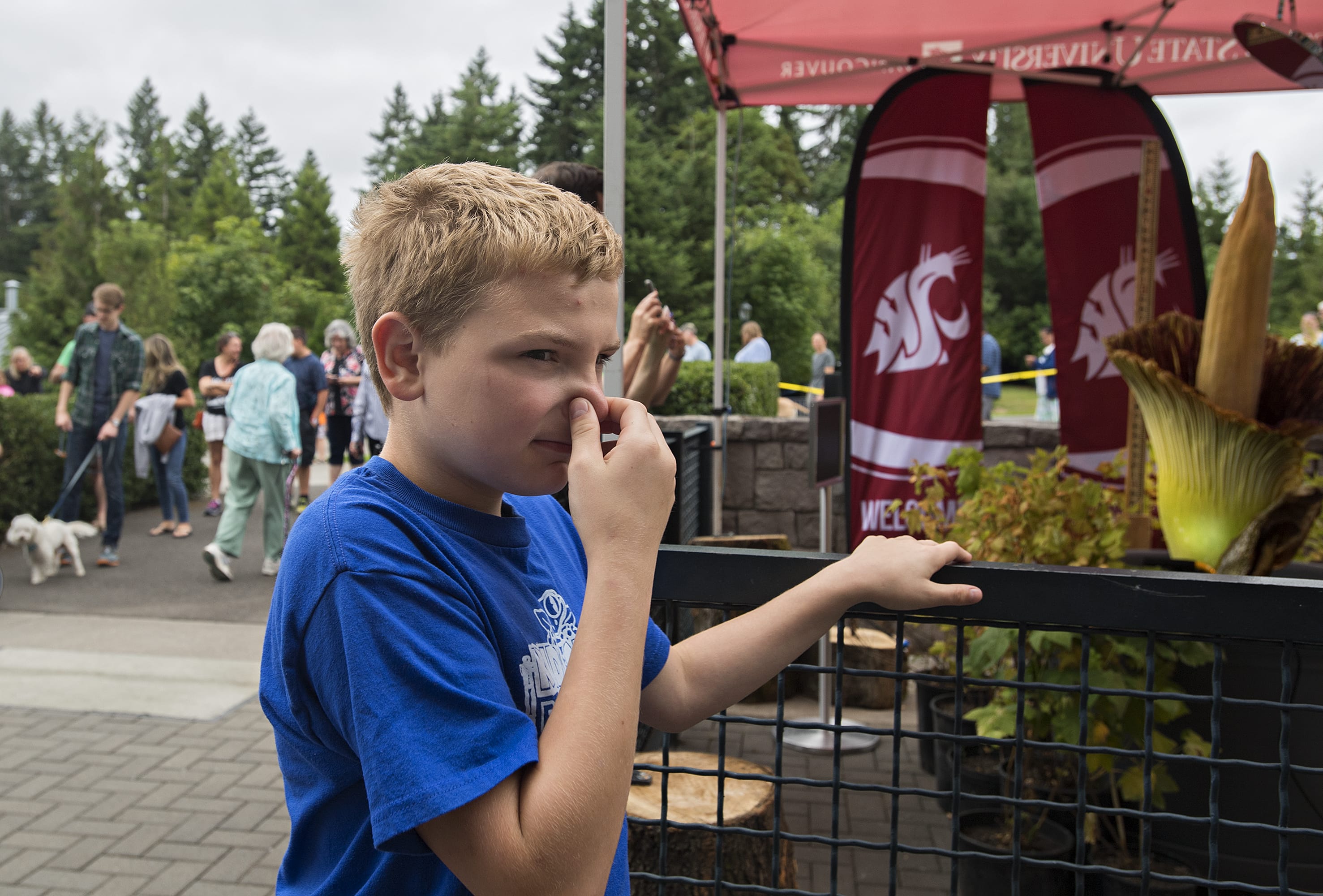 Joshua Cornish, 10, of Vancouver reacts after smelling the rare corpse flower, Titan VanCoug, in bloom at Washington State University Vancouver on Tuesday morning, July 16, 2019. Cornish was one of hundreds of visitors that took in the sight and the smell of the unique flower. "It smelled like garbage," he said.
