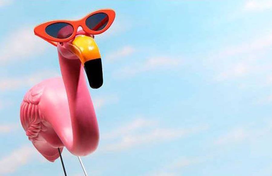 Enjoy flamingo-themed small town summer fun during downtown Camas’ next First Friday.