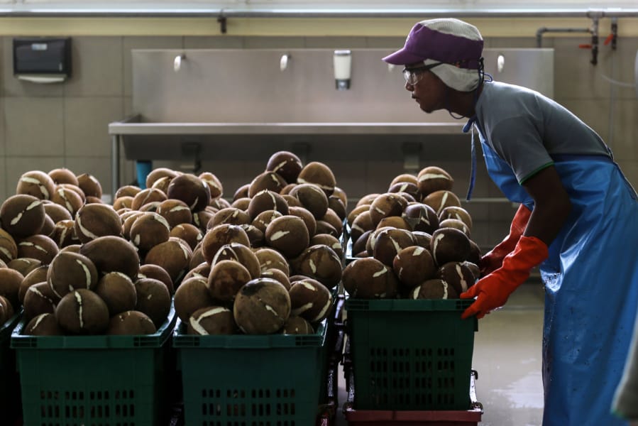 A worker pushes baskets of cleaned coconuts at the cleaning and peeling station of the Merit Food Products Co. coconut milk factory, in Nongkangkok, Thailand.