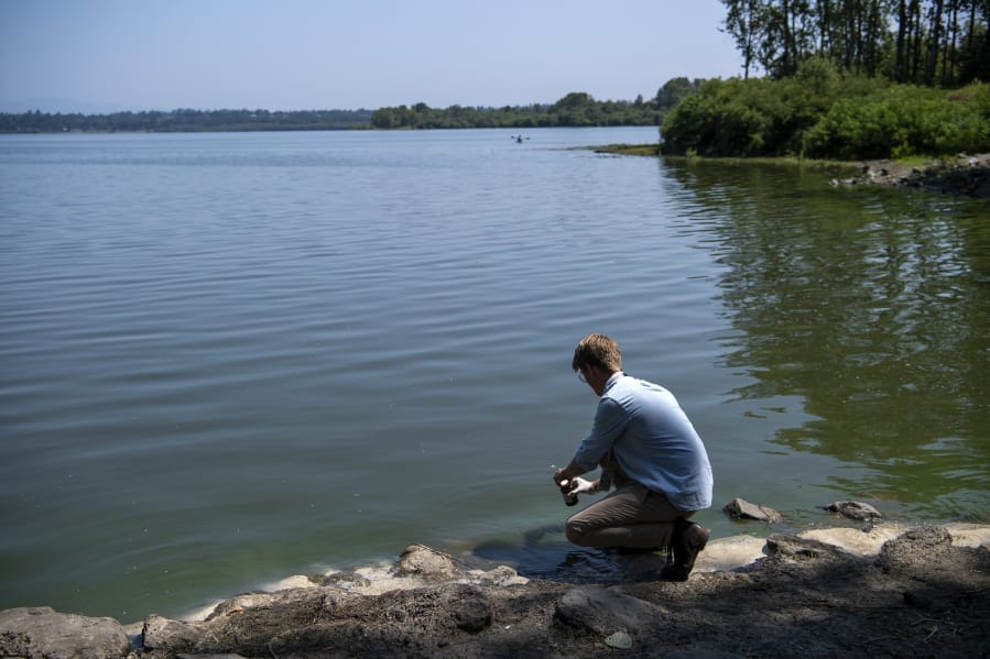 Clark County Public Health intern Michael Wagner collects a water sample for cyanotoxin level testing in the flushing channel at Vancouver Lake. The Washington Department of Ecology pays for the testing, and the samples are shipped overnight to King County Environmental Lab. Testing results from Monday’s collection could return today. At top, signs are posted to warn visitors that the lake is closed.