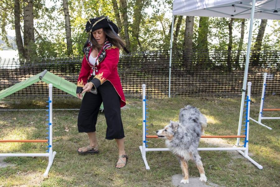 Katie High of Camas leads her Australian shepherd, Ginger, through an obstacle course during the Washougal Pirate Festival at Captain William Clark Regional Park Saturday in Washougal. The pirate festival featured costumed people and pooches.