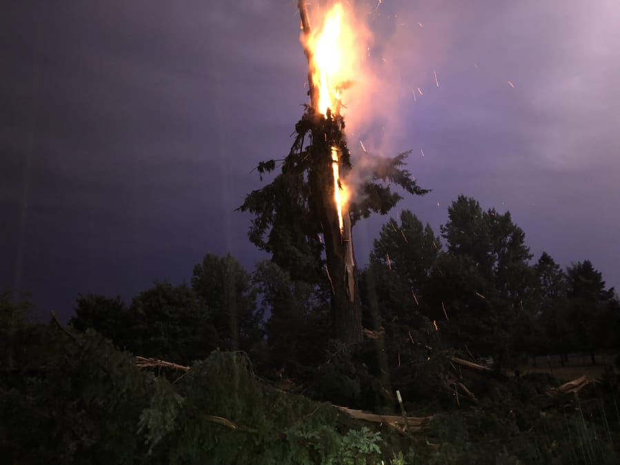 A tree caught fire after being struck by lightning early Thursday morning on a farm between Ridgefield and La Center.