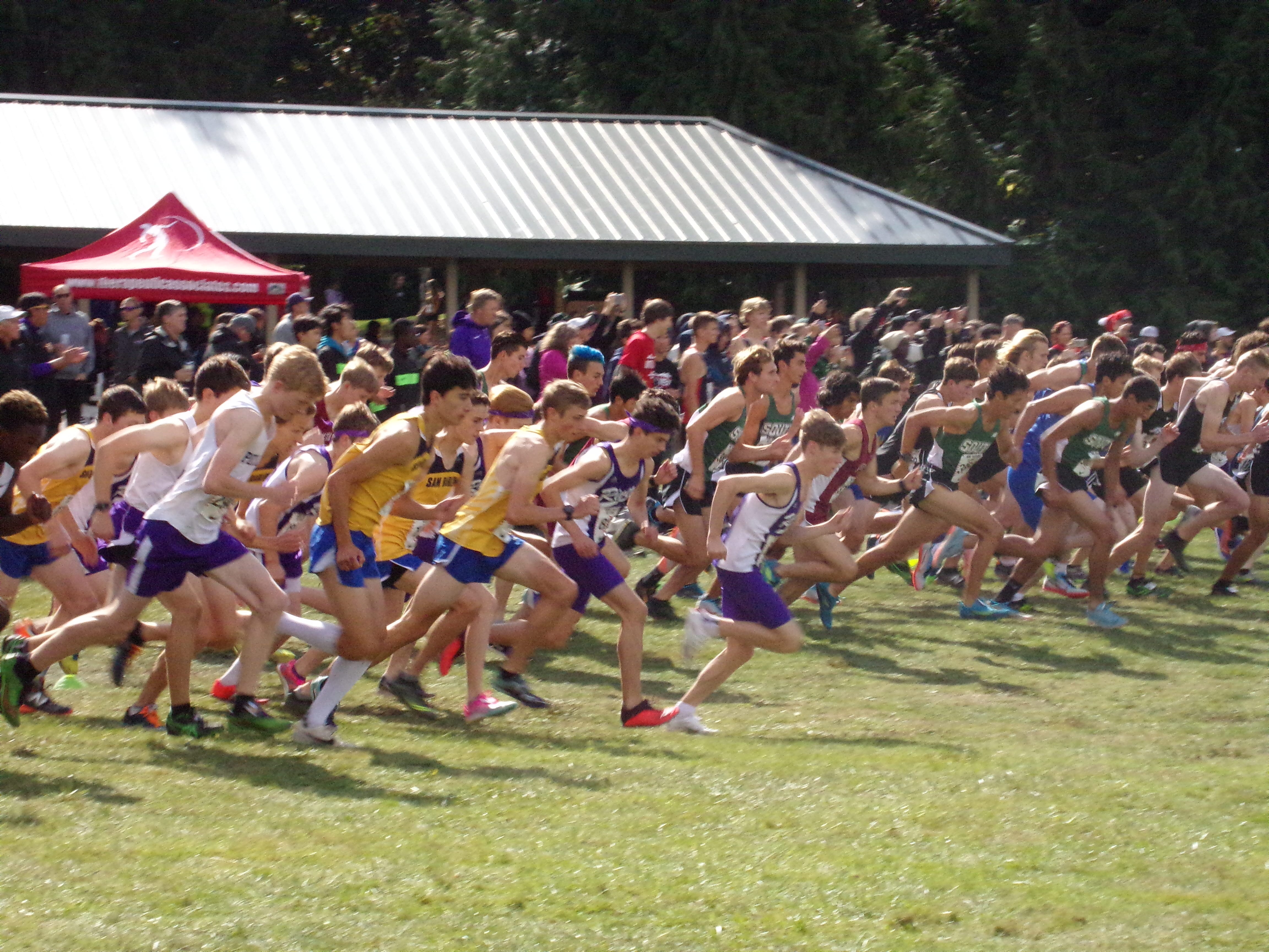 Runners take off from the start line of the Division I boys race at Nike Portland XC cross country meet at Blue Lake Regional Park in Fairview, Ore.