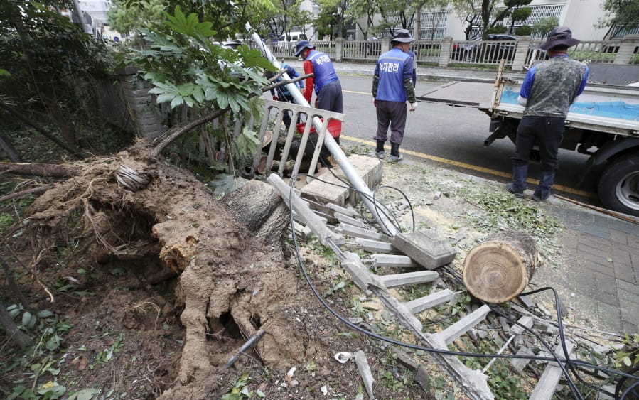 Workers try to recover damaged fence and tree after Typhoon Tapah passed in Busan, South Korea, Monday, Sept. 23, 2019. A powerful typhoon battered southern South Korea, injuring 26 people and knocking out power to about 27,790 houses, officials said Monday.
