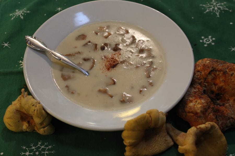 Wild mushroom soup: a rewards for hunting up wild fungi. They are also great when paired with game meats.