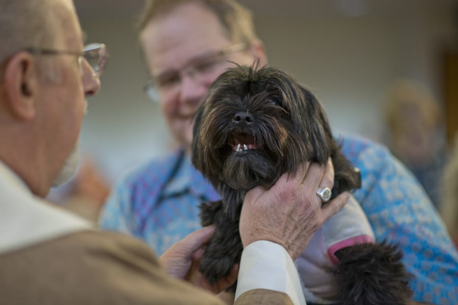 The Rev. Scott Dunfee blesses Bob Monroe's dog, Zoe, a Shih Tzu, during a blessing of the pets Sunday at Beautiful Savior Lutheran Church.