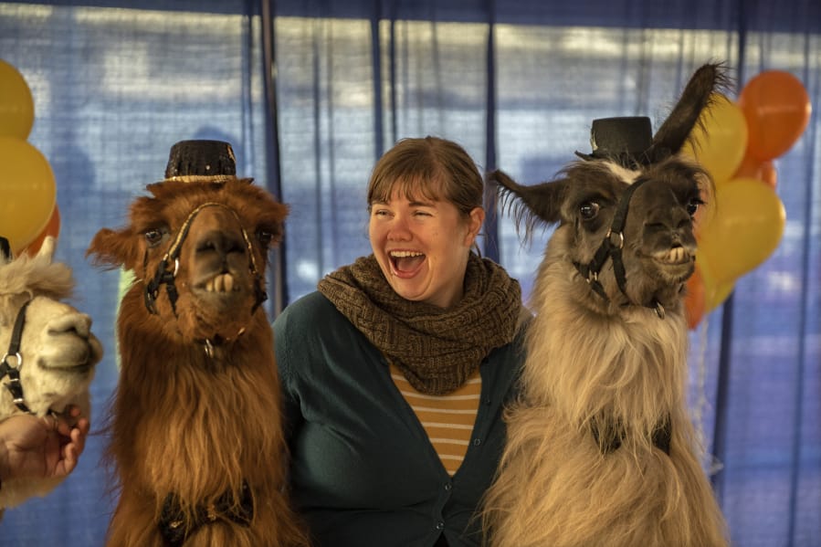 Jamie Jefferson of Portland poses Sunday with llamas Rojo, left, and Smokey, right, in Portland's Pioneer Courthouse Square during a celebration of Rojo's retirement after 12 years of celebrity and service.