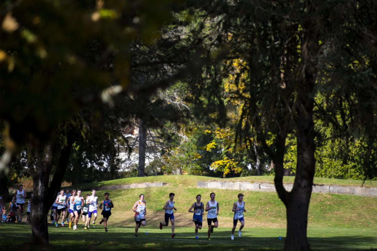 Runners compete in the 2A Boys District Cross Country meet at Lewis River Golf Course Thursday near Woodland.