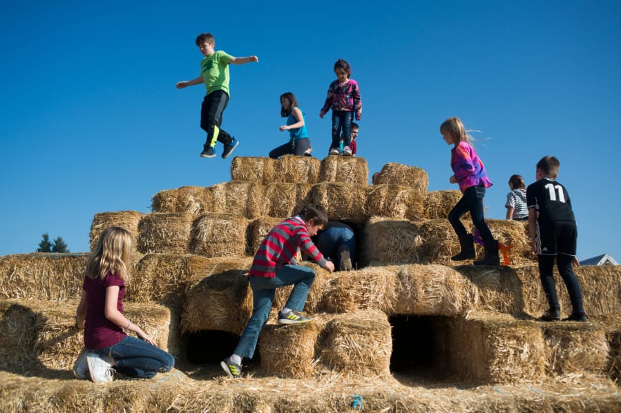 Children play on a straw pyramid at Bi-Zi Farms, where the pumpkin patch is open 2 to 5:30 p.m. Fridays and 10 a.m. to 5:30 p.m. Saturdays and Sundays, through Oct. 27. There&#039;s also a 6-acre corn maze, open during the day and also after dark from 6 to 9:30 p.m. Fridays and Saturdays.