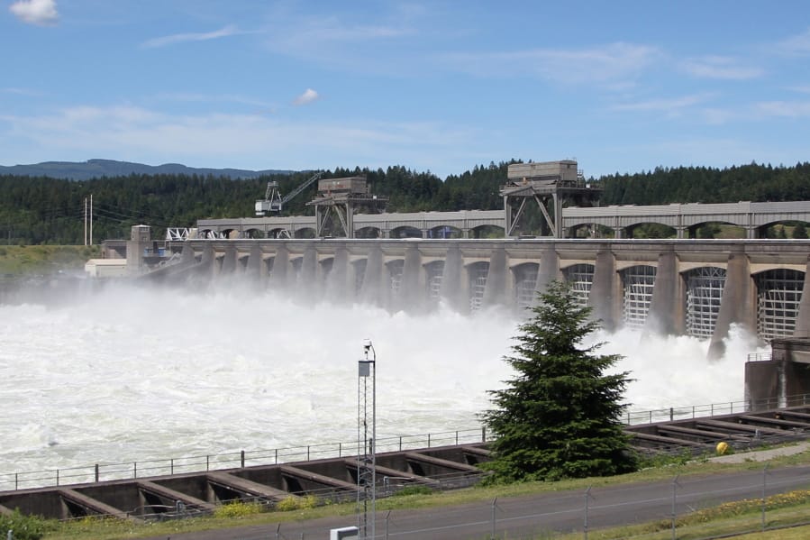 FILE - In this June 27, 2012, file photo, water flows through the Bonneville Dam near Cascade, Ore. Two prominent Pacific Northwest tribes are calling for the removal three major hydroelectric dams on the Columbia River. The Lummi Nation and the Yakama Nation said on Monday, Oct. 14, 2019, the U.S. government was in violation of a treaty from 1855 when it built the concrete dams on the lower Columbia River, destroying important native fishing sites and the migration of salmon.