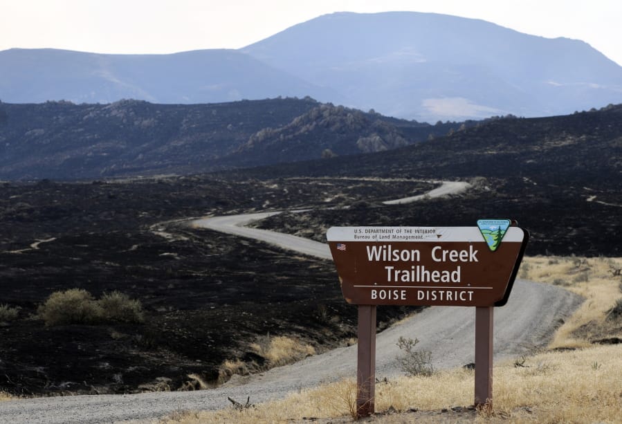 FILE - In this Friday, Aug. 14, 2015 file photo, damage from a wildfire burn is seen near the Reynolds Creek area in the Owyhee Mountains, Idaho. Authorities have released plans to stop devastating wildfires in southwestern Idaho, southeastern Oregon and northern Nevada with one option creating 1,500 miles (2,400 kilometers) of fuel breaks up to 400 feet (120 meters) wide along existing roads.