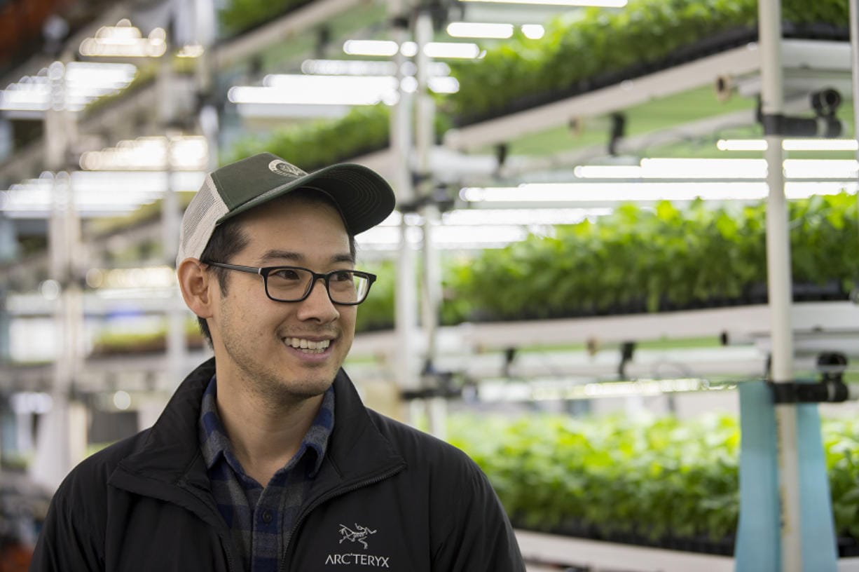 Ken Kaneko, president and CEO of West Village Farms, talks about the business during a tour of his east Vancouver facility.