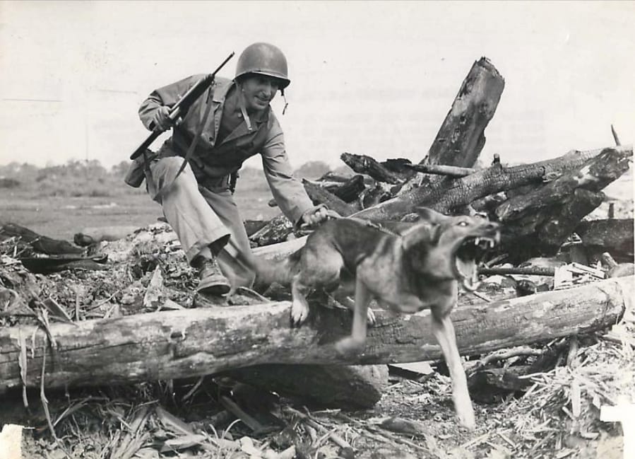 Marine Guy Wachtsletter and his dog, Tubby, participate in a training exercise. Tubby was shot and killed while serving in Guam during World War II. (U.S.