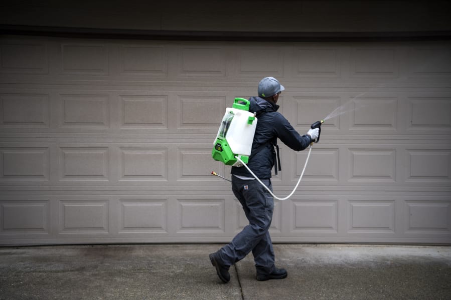 Aspen Pest Control Technician David Schuck sprays insecticide to repel boxelder bugs, commonly known as stink bugs, at a home in Battle Ground on Nov. 13, 2019.