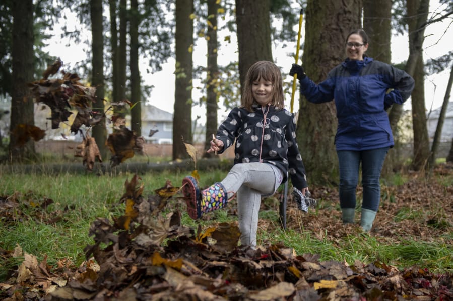 Elyse Scherer, 6, plays in a pile of leaves, while her mother, Andrea Scherer, watches Sunday at Countryside Park in Vancouver.