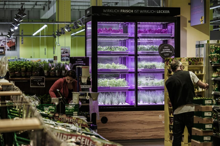 Kroger has partnered with German vertical-farming startup Infarm to hydroponically grow cilantro, kale and crystal lettuce right near the produce aisles of two Quality Food Centers in Kirkland and Bellevue.