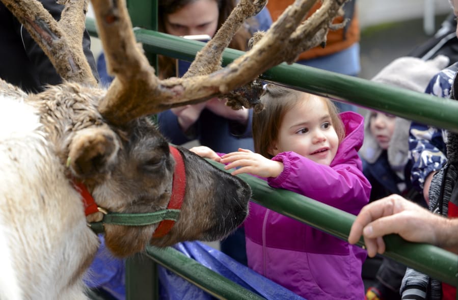 Amelia Palmier meets the reindeer at the Uptown Christmas in the Village Block Party in Vancouver, Wa., Saturday December 3, 2017.