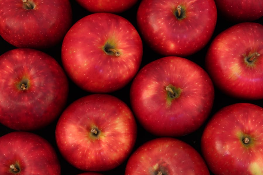 Cosmic Crisp apples, shown here, are the first apple variety bred in Washington to be exclusively grown by Washington growers.