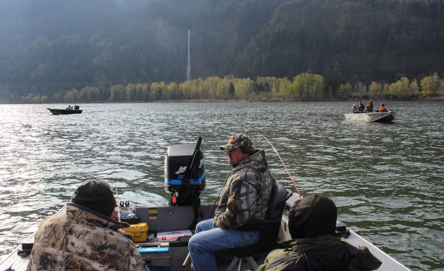 Buzz Ramsey and friends fish the Columbia River for spring Chinook. Projections for spring runs in the Columbia were released this week, and anglers can expect returns and seasons that closely match 2019.