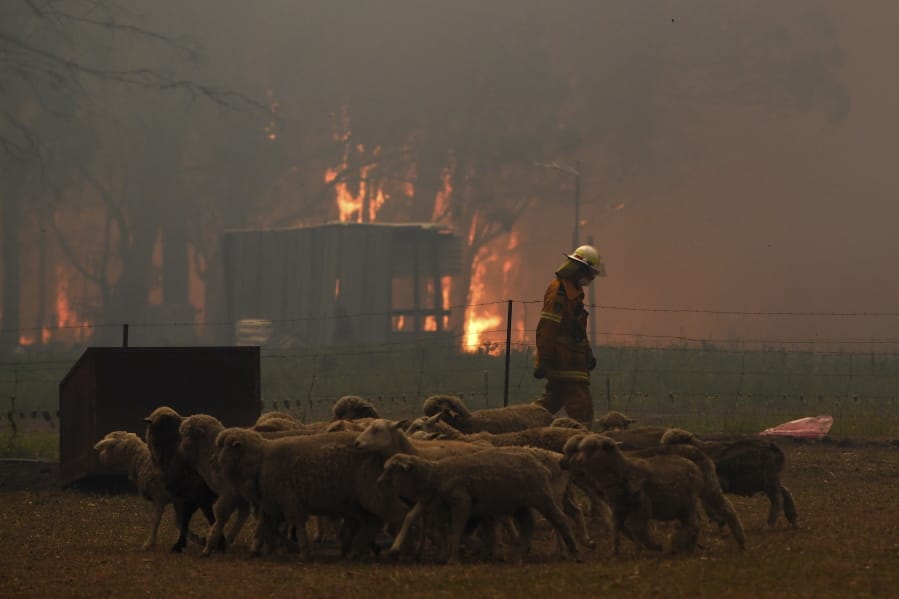 Rural Fire Service crew engage in property protection of a number of homes along the Old Hume Highway near the town of Tahmoor, New South Wales, as the Green Wattle Creek Fire threatens a number of communities in the southwest of Sydney, Thursday, Dec. 19, 2019. Australia&#039;s most populous state of New South Wales declared a seven-day state of emergency Thursday as oppressive conditions fanned around 100 wildfires.