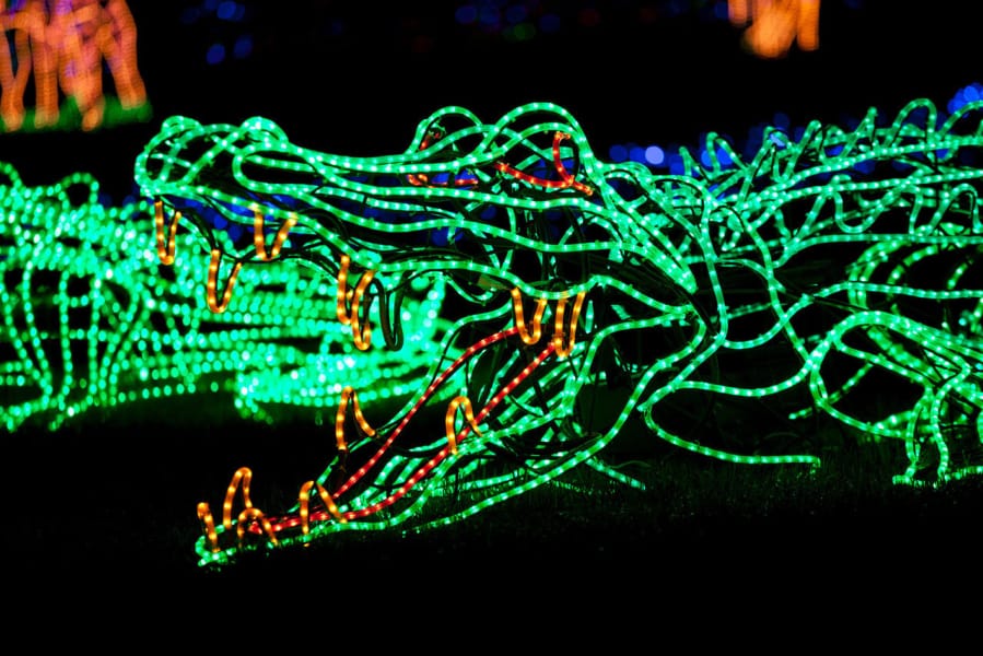 The annual ZooLights features lit-up forests, animal silhouettes, lighted tunnels and a light-bedecked train at the Oregon Zoo. It&#039;s open through Jan. 5 every night except Christmas.