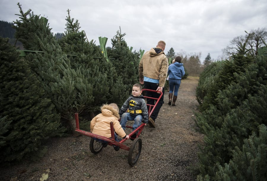 Washougal River Christmas Trees, a 160-acre farm, is open daily from 9 a.m. until 5 p.m. through Dec. 18.
