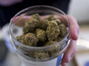 A budtender shows a top cannabis strain at the Serra dispensary Feb. 7, 2019, in Portland.