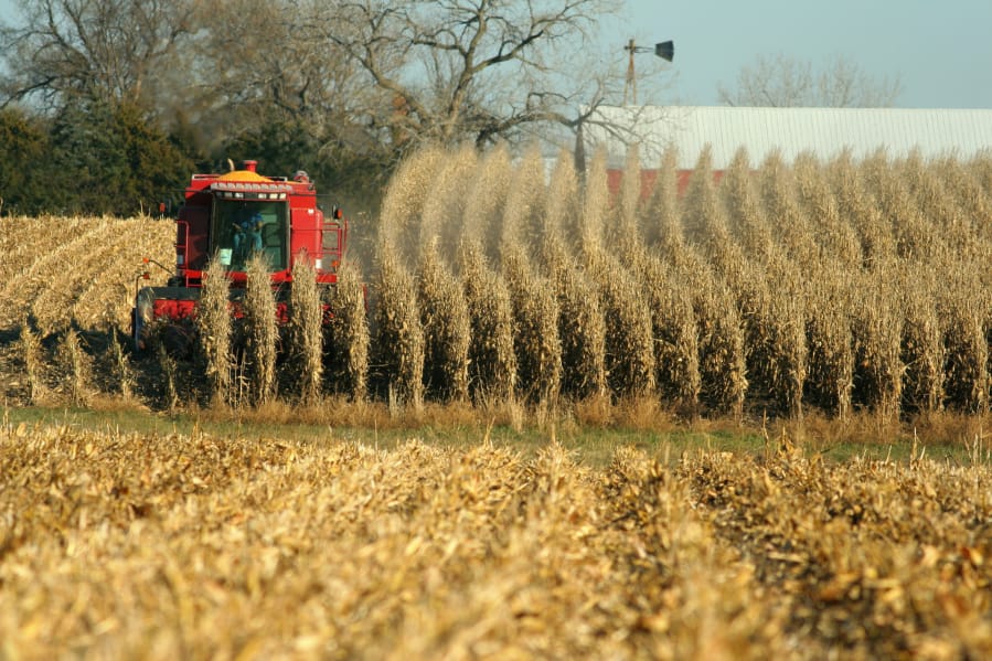 Nebraska farmers harvest corn.