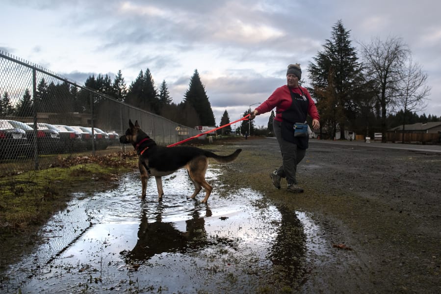 Volunteer Karen Hansen walks Harper, a German Shepherd mix, at the Humane Society for Southwest Washington on Wednesday morning. Volunteers turned out to nonprofits across Clark County on New Year&#039;s Day, ringing in the new year with a day of work instead of a day of rest.