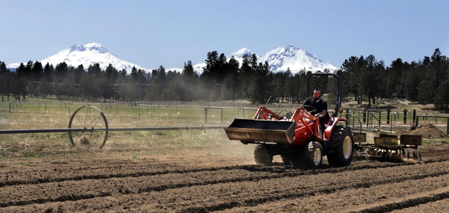 Trevor Eubanks, plant manager for Big Top Farms, readies a field for another hemp crop, April 23, 2018, near Sisters, Ore.