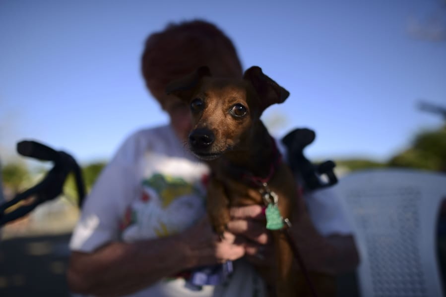 Maria Gonzalez holds her dog Luna outside a shelter afraid of aftershocks, after an earthquake in Guanica, Puerto Rico, Tuesday, Jan. 7, 2020. A 6.4-magnitude earthquake struck Puerto Rico before dawn on Tuesday, killing one man, injuring others and collapsing buildings in the southern part of the island.