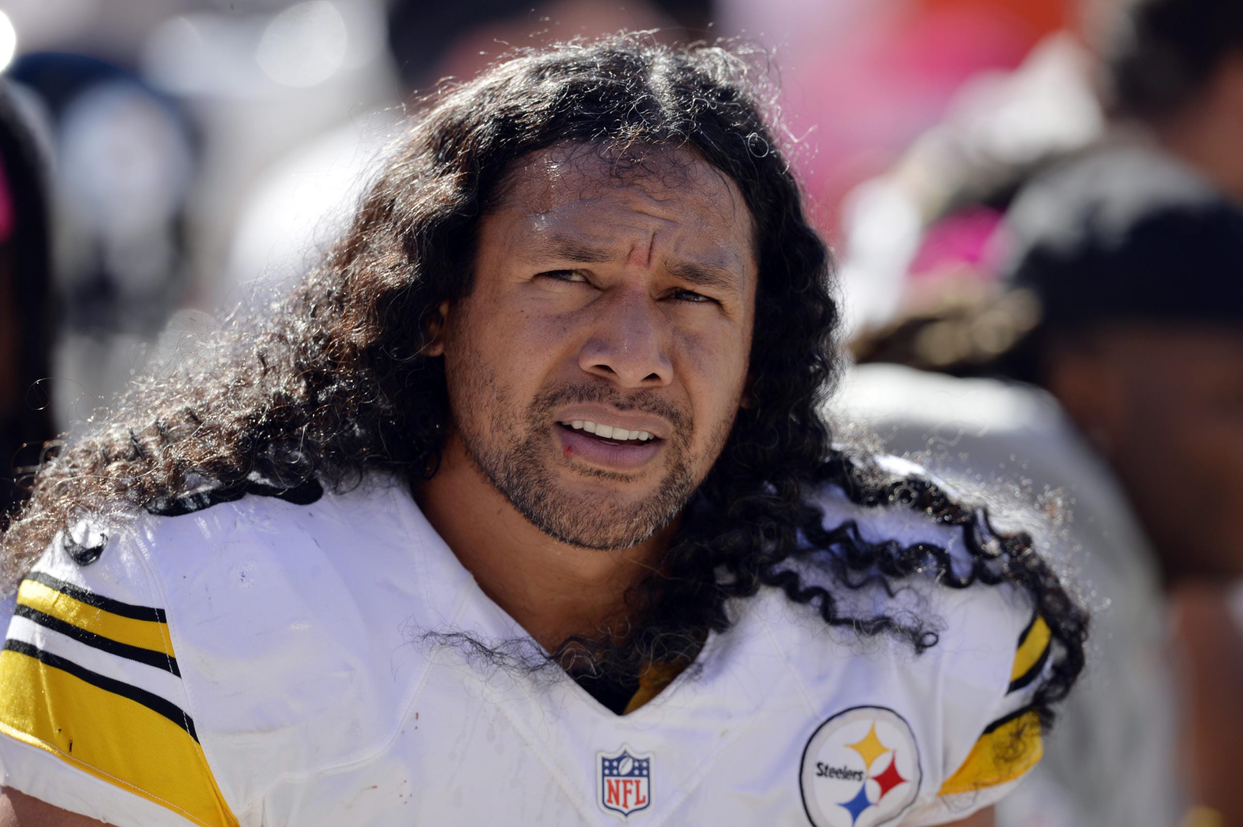 Pittsburgh Steelers strong safety Troy Polamalu was elected to the Pro Football Hall of Fame as part of the Class of 2020, it was announced on Saturday, Feb. 2020.
